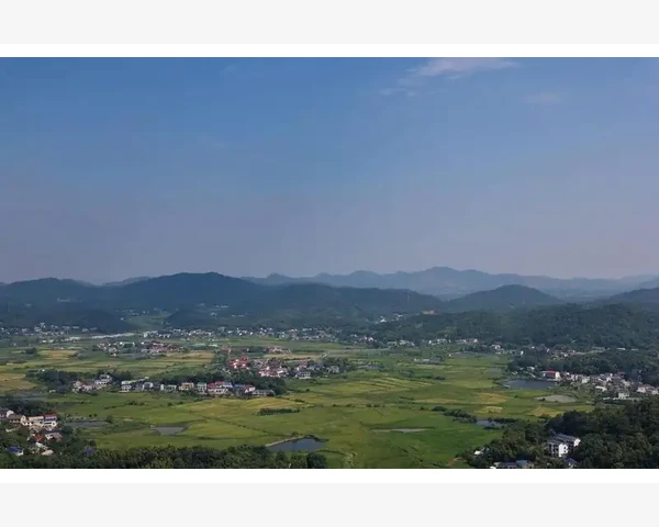 夏至调理脾胃的五大妙招